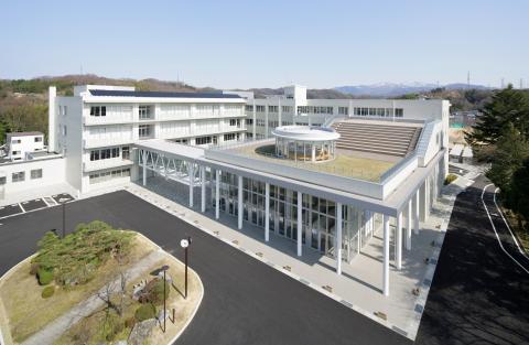 sakuragaikan