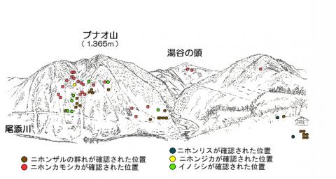 201912-2サル地図