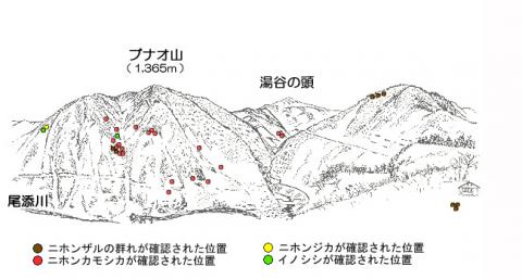 201912-3サル地図