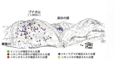 R0204-2サル地図