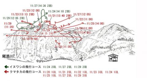 イヌワシ地図R211-1