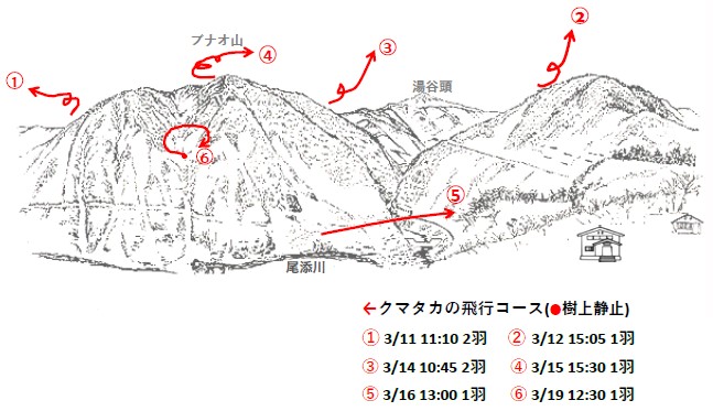 イヌワシ地図R50302