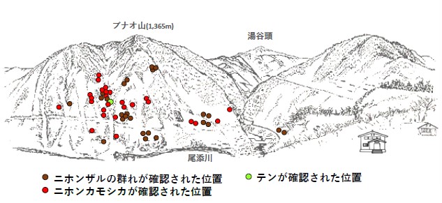 サル地図R50302