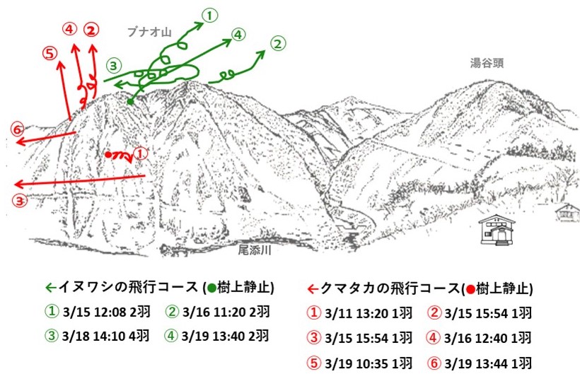 イヌワシ地図r603-2