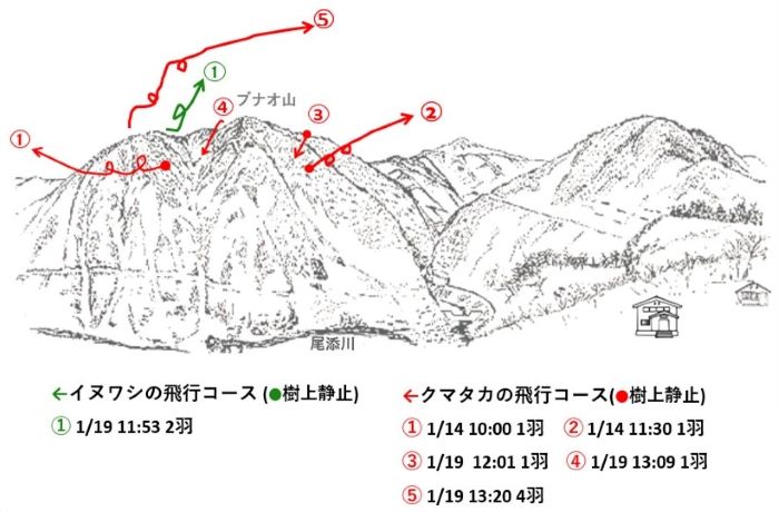 イヌワシ地図r61-2