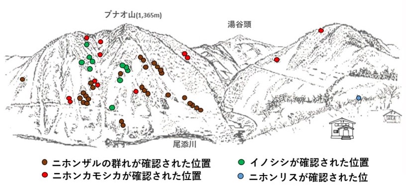 サル地図r602-2