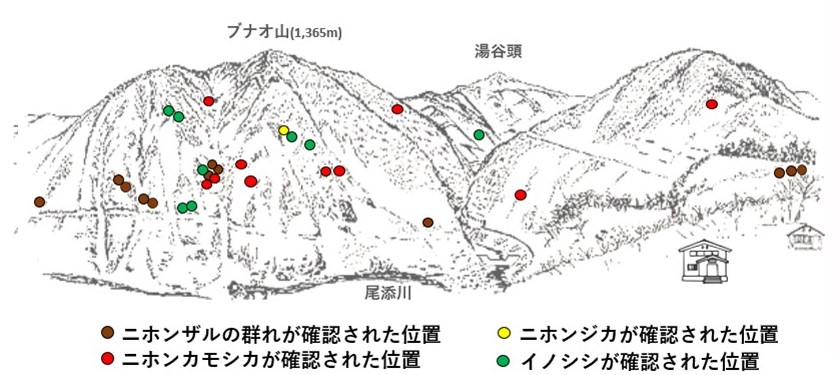 サル地図r062-3