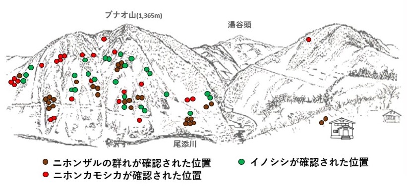 サル地図r63-1