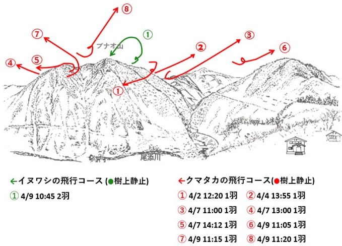 イヌワシ地図r074-1