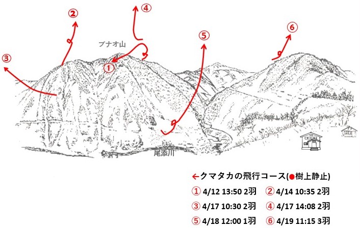 イヌワシ地図r704-2