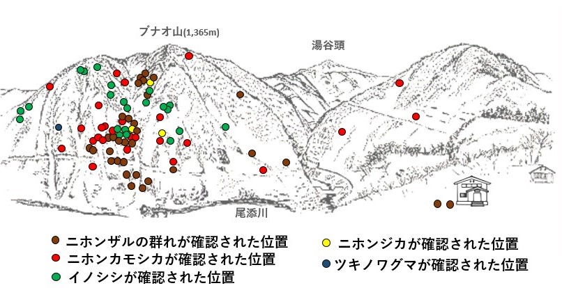 サル地図r703-3
