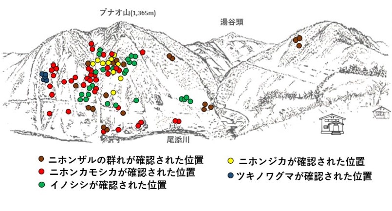 サル地図r704-1
