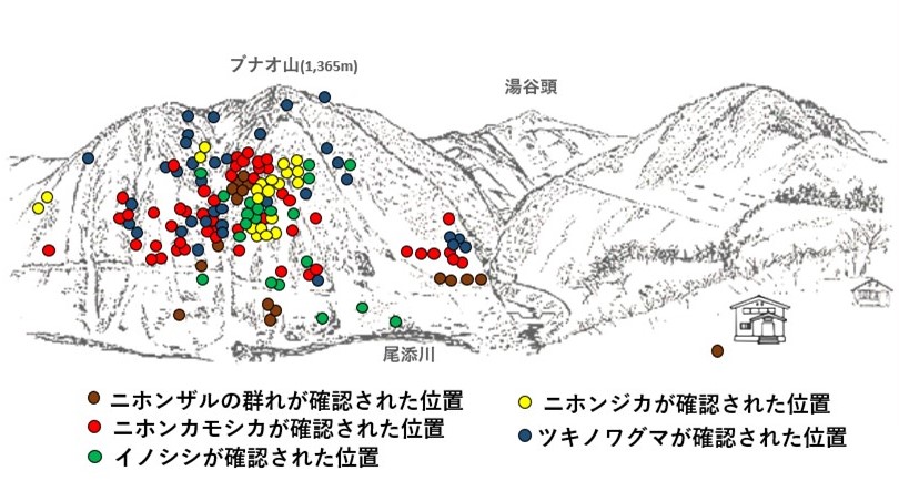 サル地図r704-2