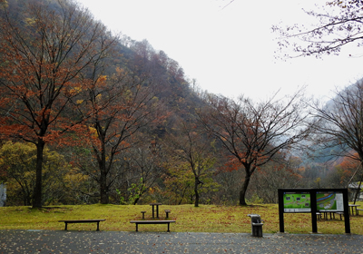 紅葉＿展示館前＿1110