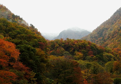 紅葉と雪＿その二