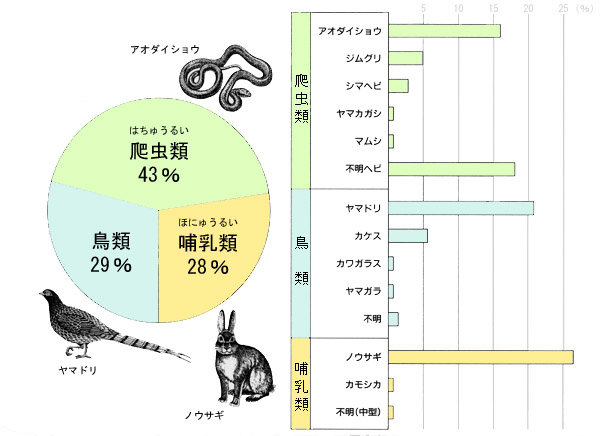 イヌワシの餌