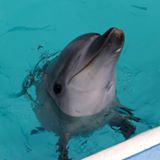 のとじま水族館