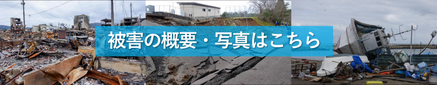 被害の概要・写真