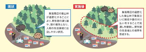 緩衝帯整備のイメージ
