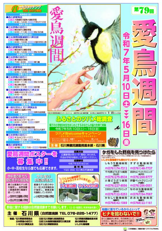 令和7年度第79回愛鳥週間ポスター