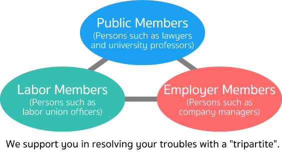 Organization of LRC