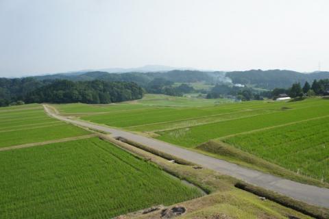 神子原の棚田