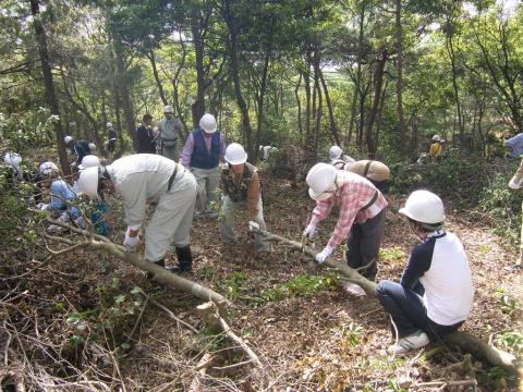 H24森づくり大会